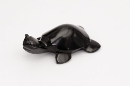 Tortuga Obsidiana - Imagen 5