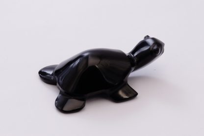 Tortuga Obsidiana - Imagen 4
